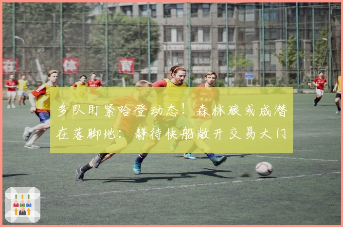 多队盯紧哈登动态!森林狼或成潜在落脚地:静待快船敞开交易大门