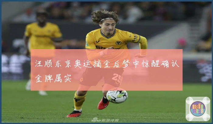 汪顺东京奥运摘金后梦中惊醒确认金牌属实