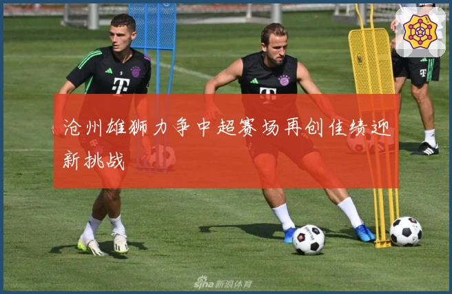 沧州雄狮力争中超赛场再创佳绩迎新挑战