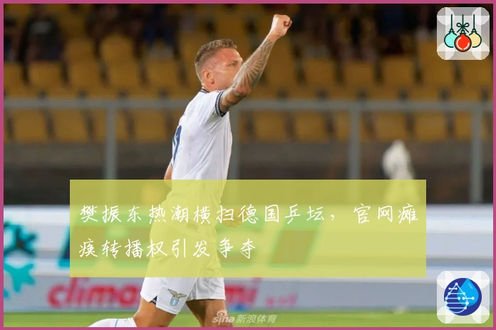 樊振东热潮横扫德国乒坛，官网瘫痪转播权引发争夺